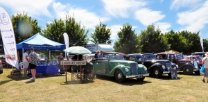 A few of the cars on display